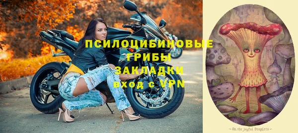 индика Ветлуга